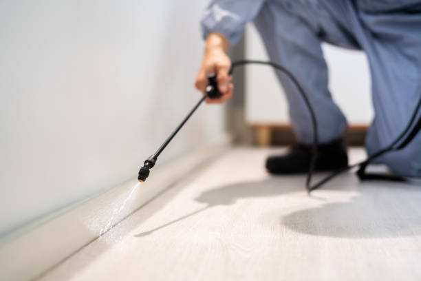Licensed Exterminator service in Solomon, KS - Show Me Pest Control